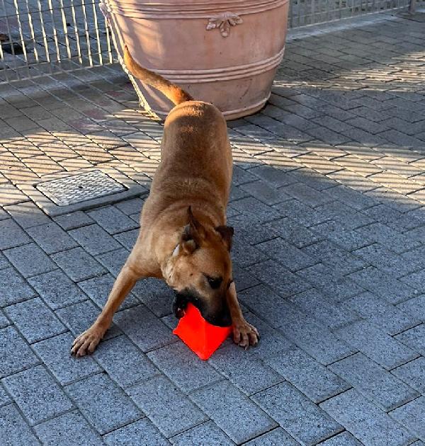 SONO ARGO MI PORTI VIA CON TE? Foto 4